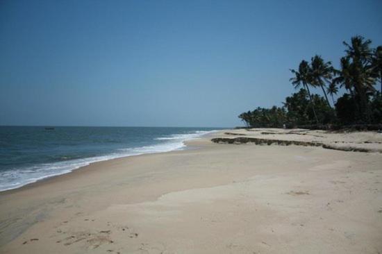 Fool'S Paradise Homestay Alappuzha Esterno foto
