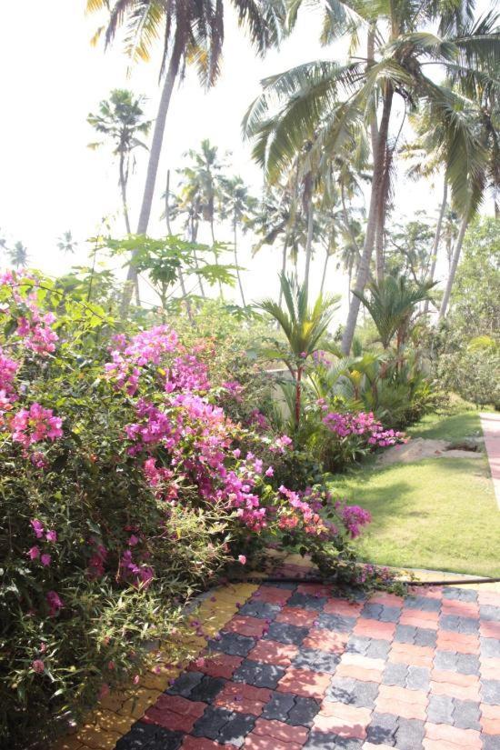 Fool'S Paradise Homestay Alappuzha Esterno foto