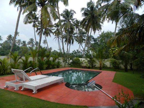 Fool'S Paradise Bed and Breakfast Alappuzha Esterno foto